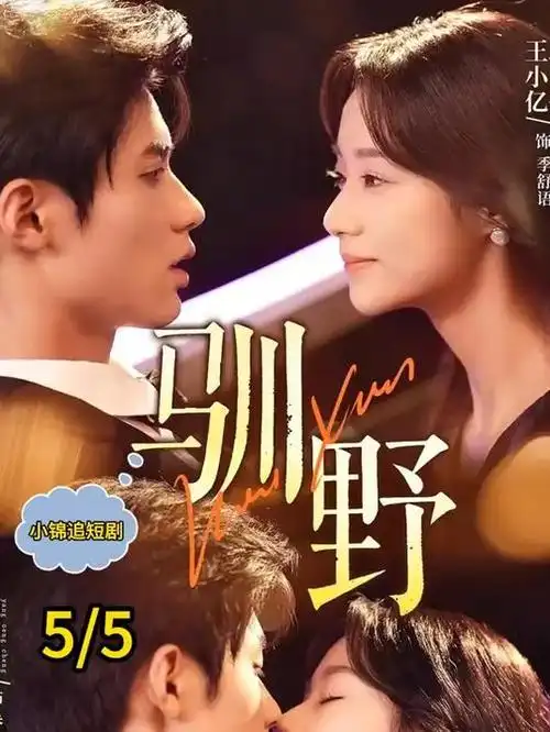 我的邻居是编剧短剧海报